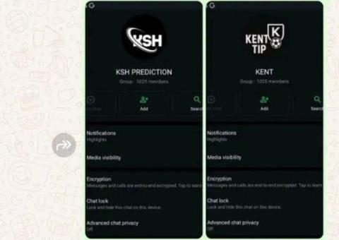 Full-Stack Business Accelerator