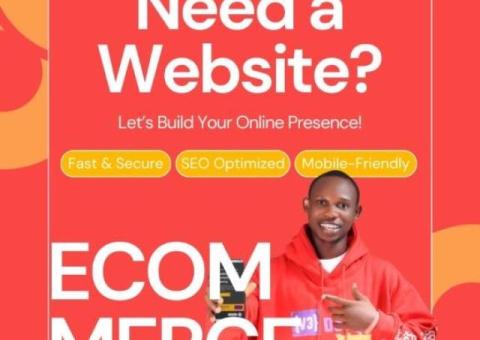 E-commerce / Online Store Website Designer in Abuja