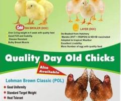 OLAM FARMS NIGERIA LIMITED